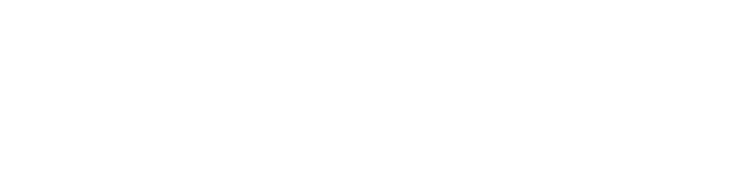 Dapi Trasporti